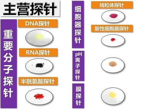 生物醫(yī)藥技術(shù)聯(lián)合實驗室 推動醫(yī)藥技術(shù)創(chuàng)新的重要平臺