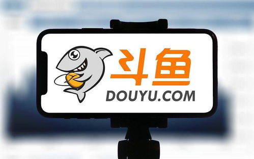 斗魚(yú)戰(zhàn)略入股九途文化，以股權(quán)綁定深化主播合作
